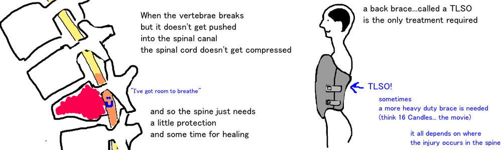 How long does a fractured vertebra take to heal?